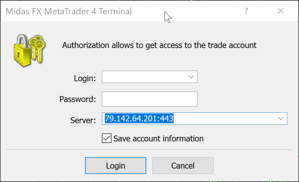 How can I fix the “No Connection” error in MetaTrader?